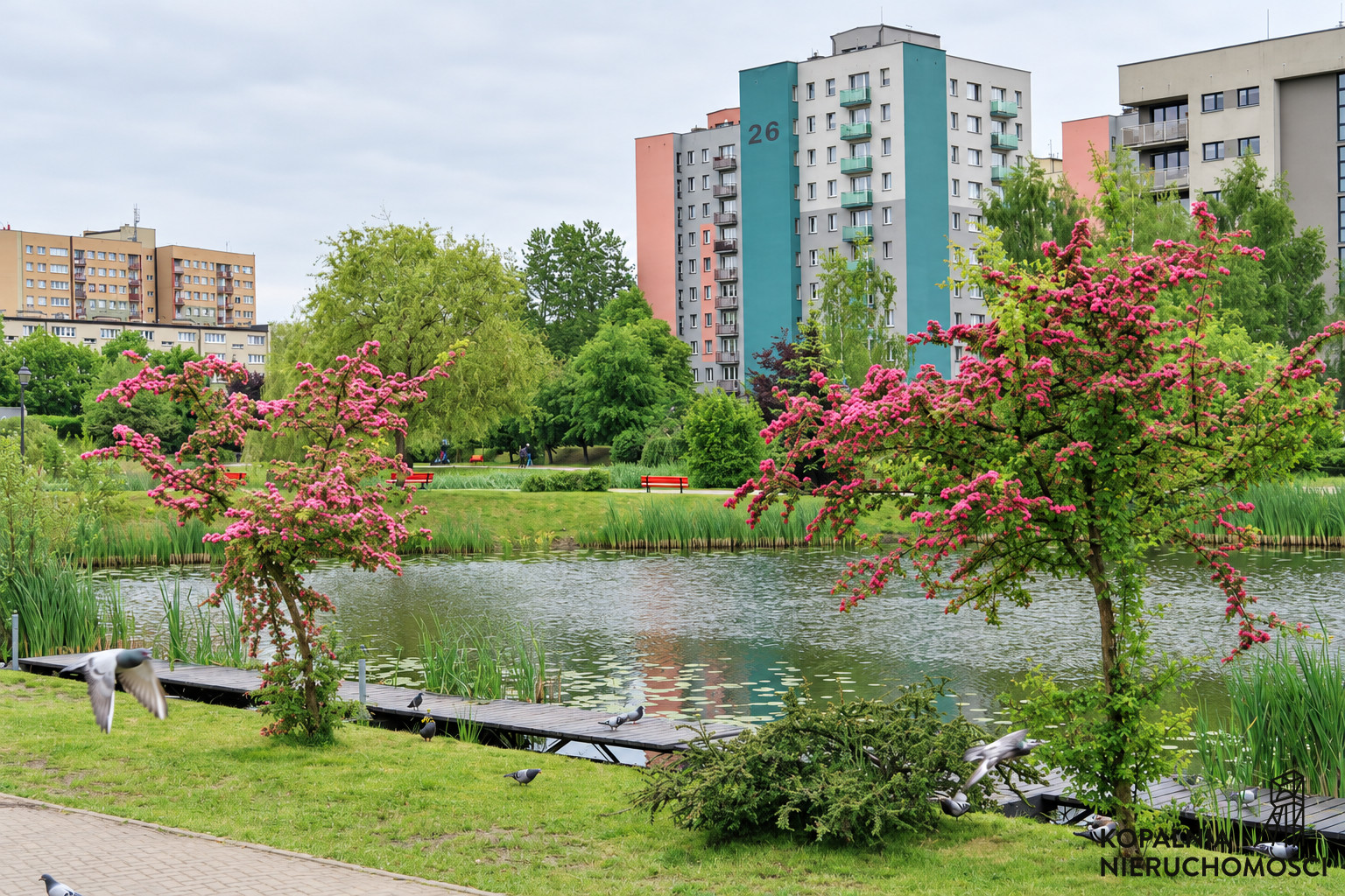 Mieszkanie Sprzedaż Chorzów Centrum Lipińska 4