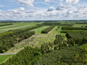 Działka Sprzedaż Wola Jedlińska