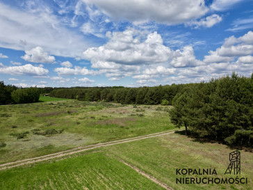 Działka Sprzedaż Wola Jedlińska
