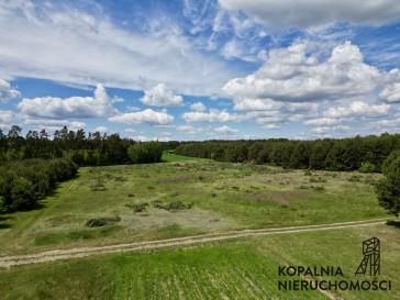 Działka Sprzedaż Wola Jedlińska