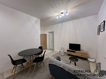 Mieszkanie Wynajem Zabrze Centrum Południe Stefanii Szczepaniakowej