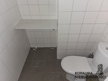 Lokal Wynajem Chorzów Centrum Wolności