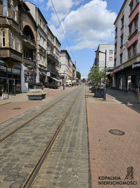 Lokal Wynajem Chorzów Centrum Wolności