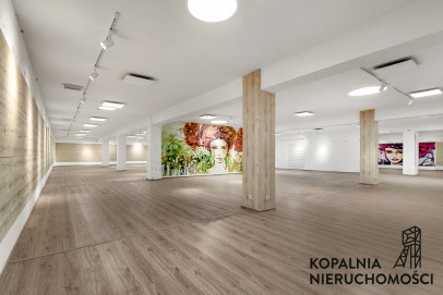 Lokal Wynajem Sosnowiec Zagórze Braci Mieroszewskich