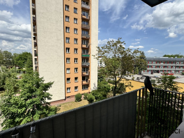 Mieszkanie Wynajem Sosnowiec Centrum Jagiellońska