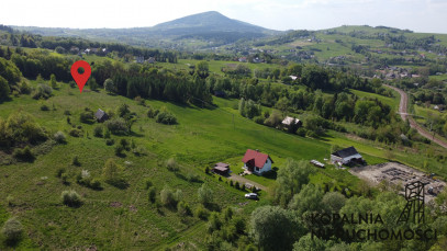 Działka Sprzedaż Grybów Strzylawki