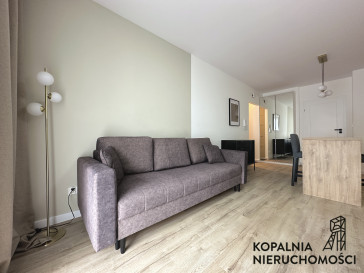 Mieszkanie Wynajem Katowice Brynów Ceglana