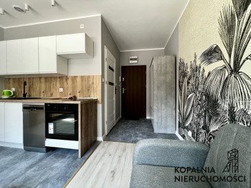 Mieszkanie Wynajem Katowice Śródmieście Henryka Dąbrowskiego