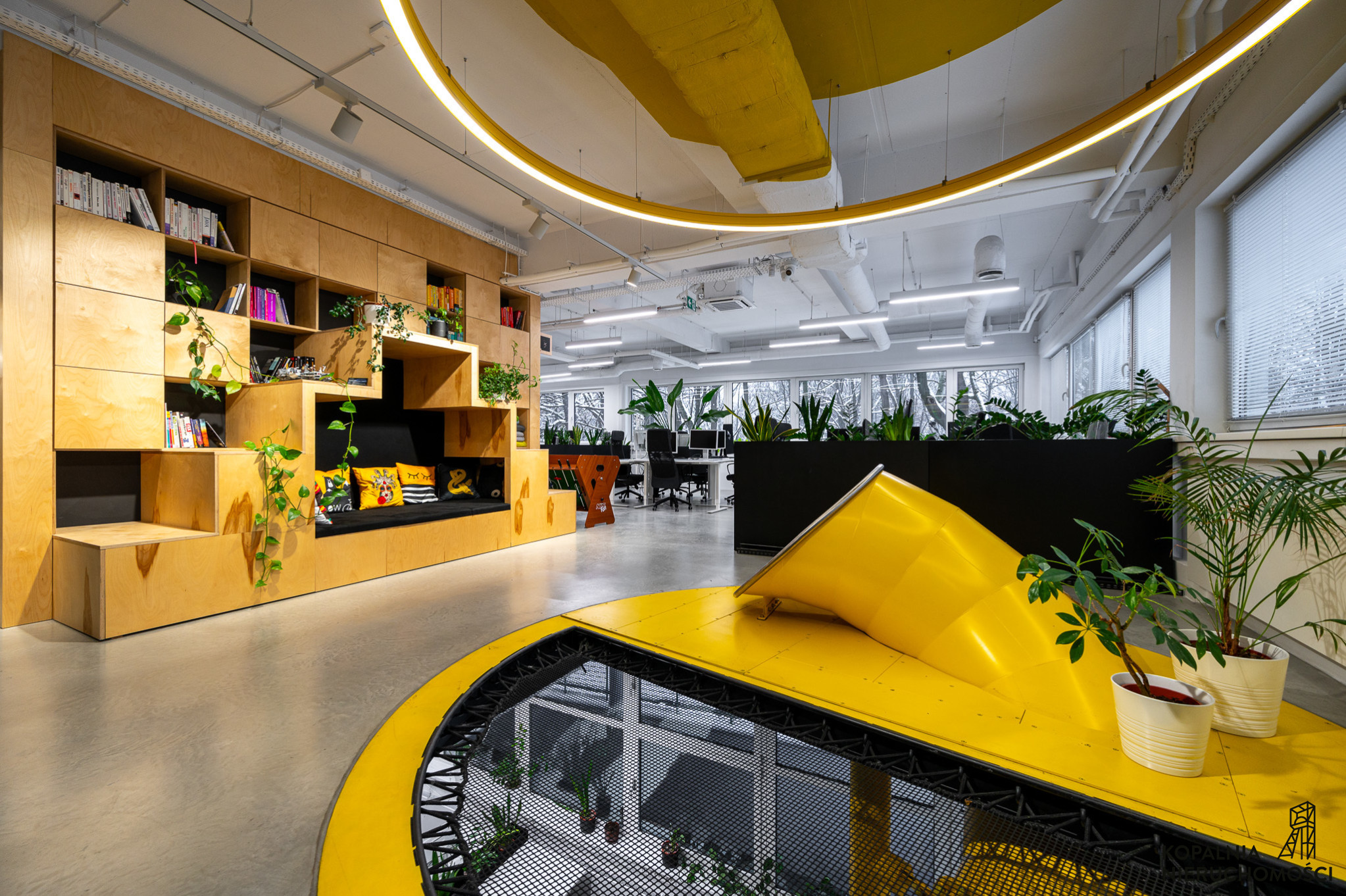 Lokal Wynajem Katowice Koszutka Jesionowa