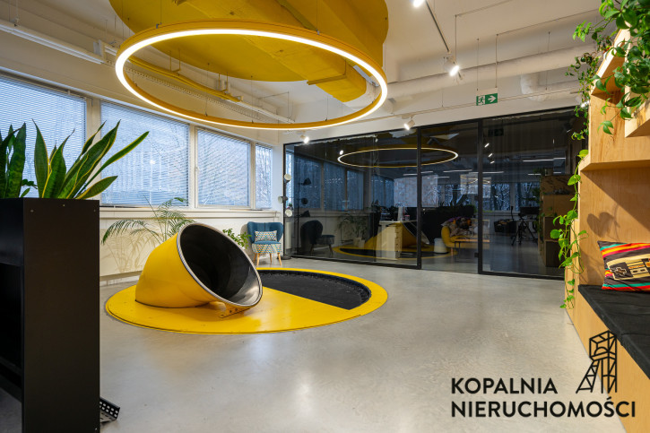 Lokal Wynajem Katowice Koszutka Jesionowa 5