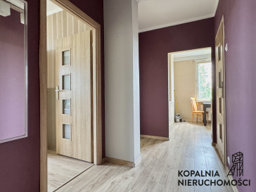 Mieszkanie Wynajem Katowice Koszutka Władysława Broniewskiego