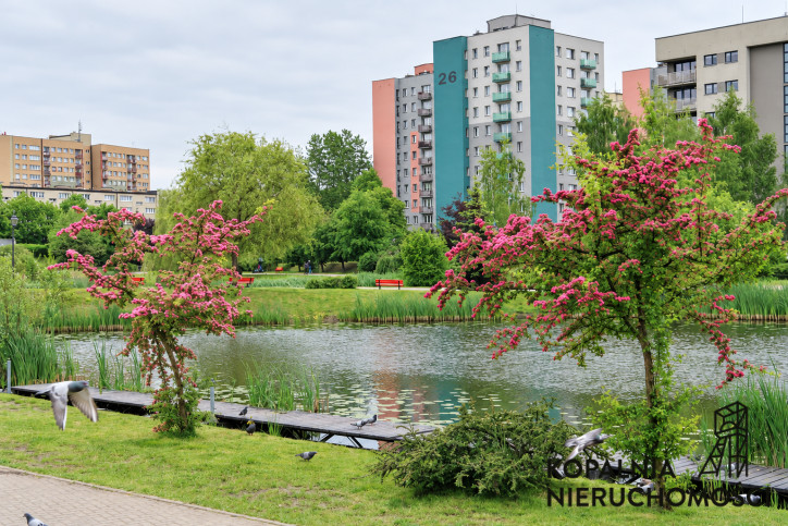 Mieszkanie Sprzedaż Chorzów Centrum Lipińska 4